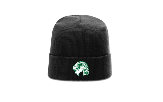Spring Baseball Embroidered Beanie