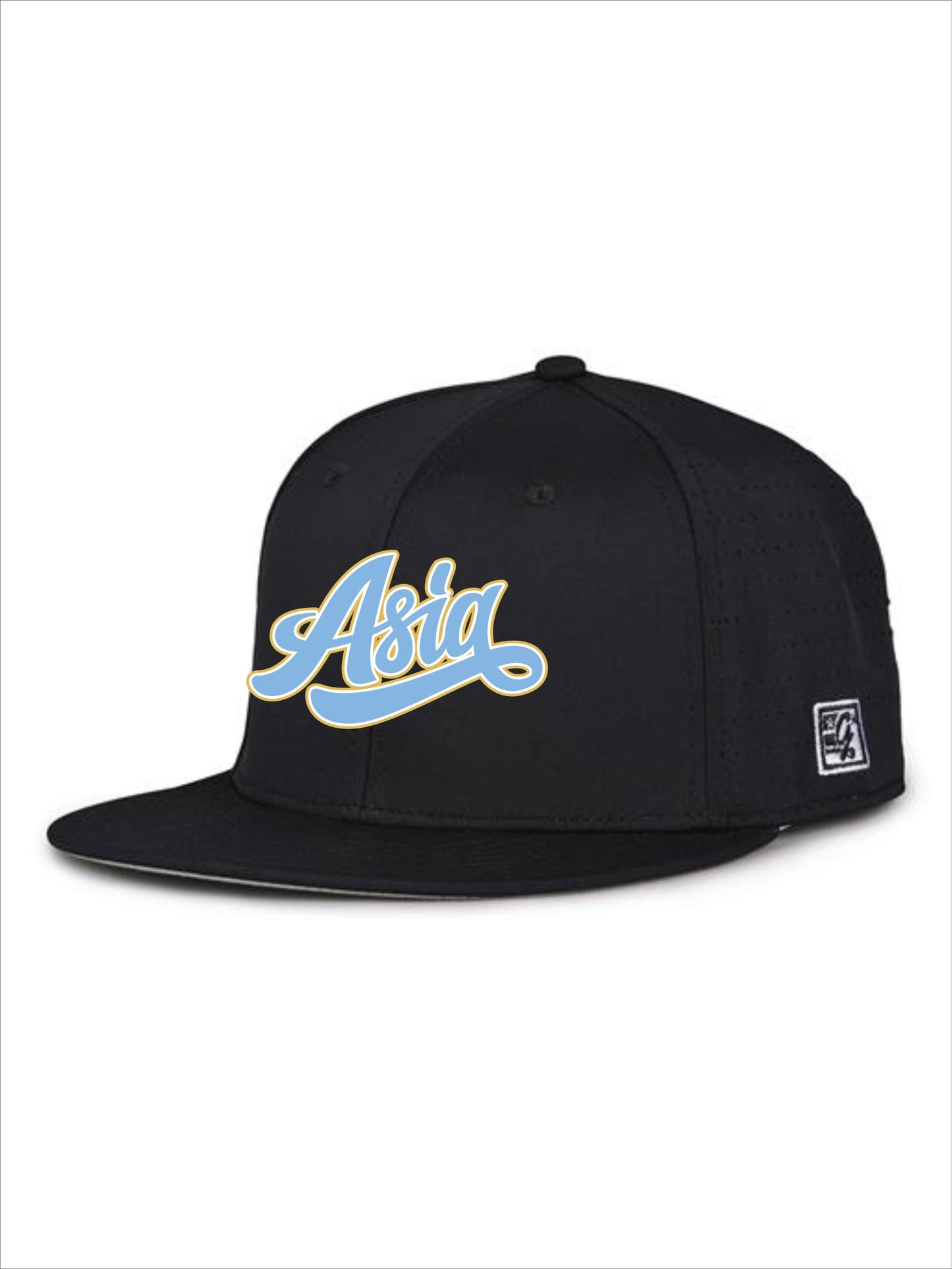 Team Asia Embroidered Hat