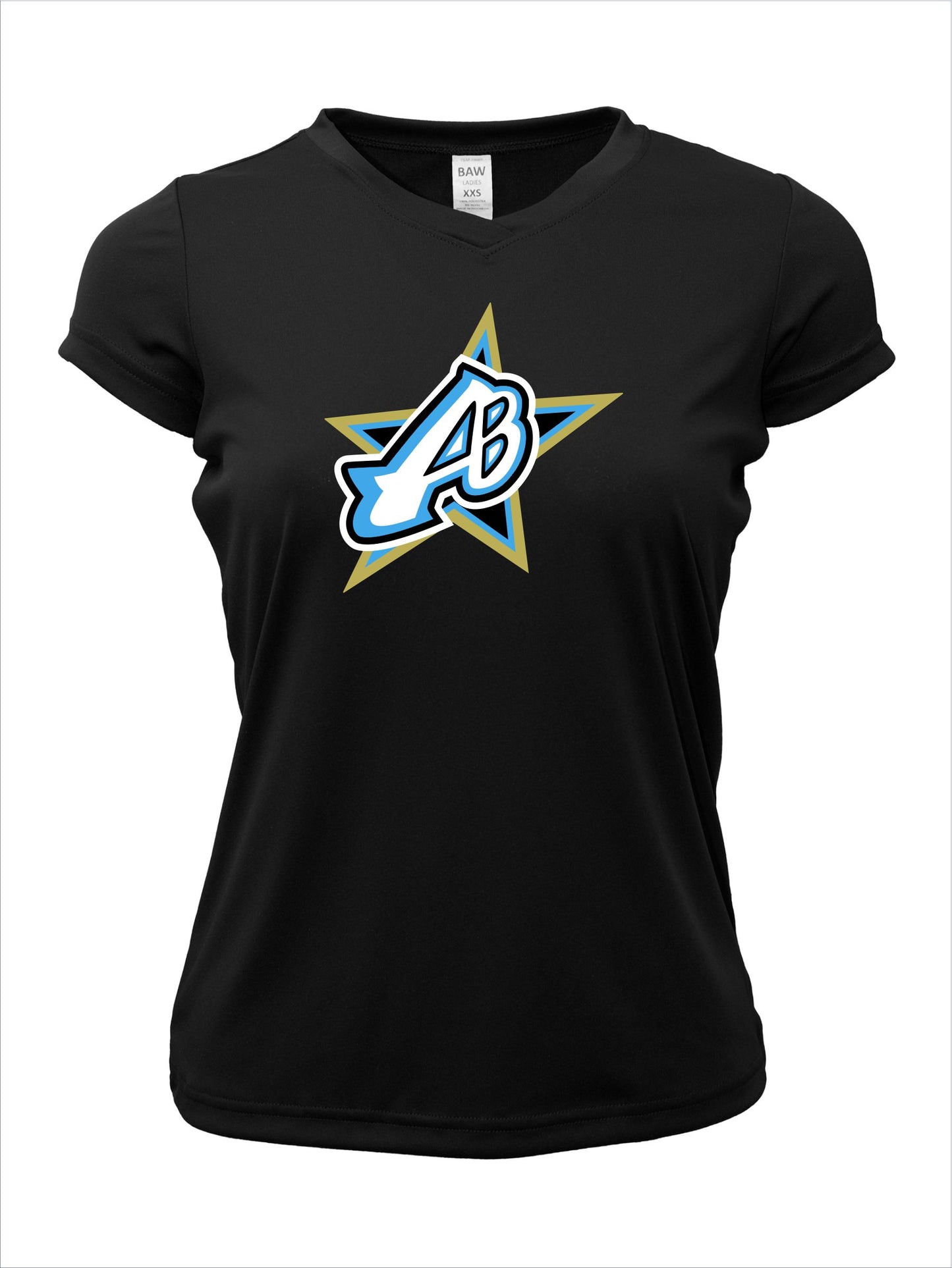 Ladies V-Neck "Centered Logo" Cotton T-Shirt